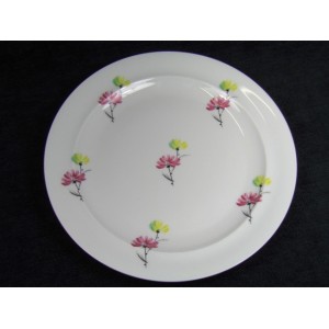 Limoges porcelain plate