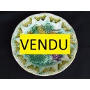 Earthenware plate ancient barbotine