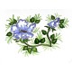 assiette bleu moustiers c fours