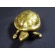 Boîte tortue en bronze