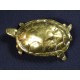 Bronze turtle box