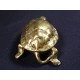 Boîte tortue en bronze