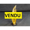 Subject cicada on a branch inclusion resin