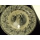 Jules Vieillard Bordeaux série de 7 assiettes parlantes les beaux jours de la vie