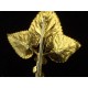 Antique art nouveau brooch in gold-plated metal, rhinestone leaf shape