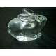 lapin en verre