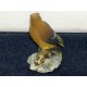 oiseau franklin N°6