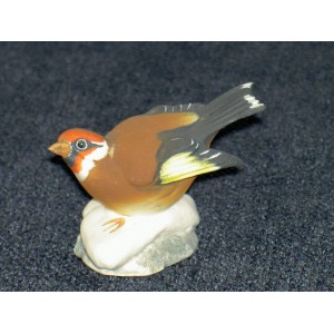 oiseau franklin N°11