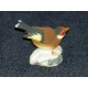 oiseau franklin N°11