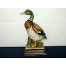 canard japonais