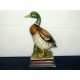 canard japonais