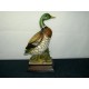 canard japonais