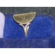 Bague ornée d'une pièce 1/2 franc argent 1914