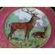 assiette cerf