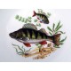 Assiette de porcelaine à décor de poisson
