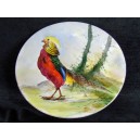 assiette faisan